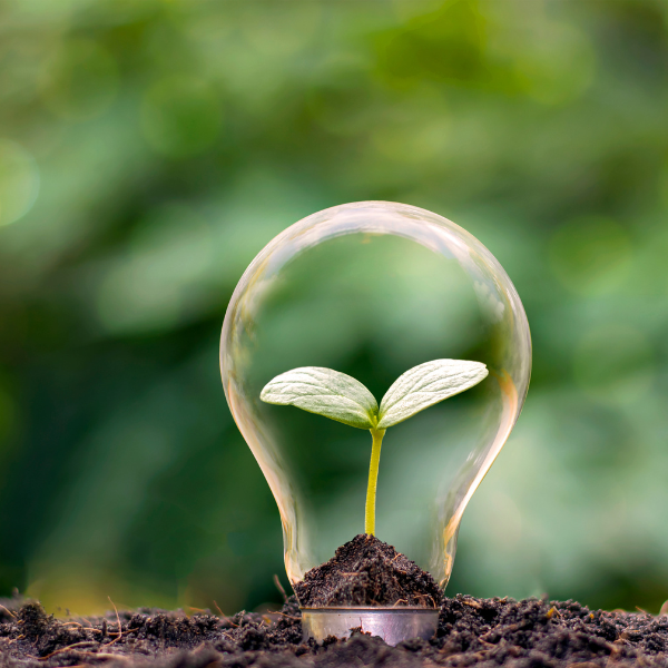 Aktuelle Online-Präsentation > 26.10.2023