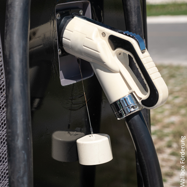 Wallbox F&ouml;rderung 2026: Welche Zusch&uuml;sse Unternehmen nutzen k&ouml;nnen.